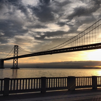 Beautiful view of the Bay Bridge during my 5k run for the #wwwp5k